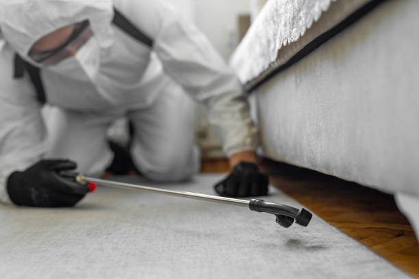 Professional Cockroach Control technician working in Punaluu, HI