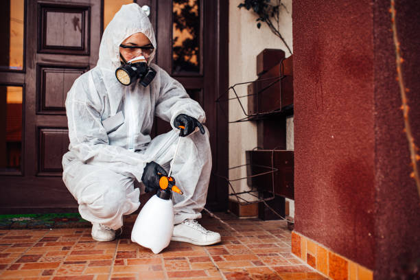 Reliable Cockroach Control contractor in Punaluu, HI by Nex Pest Control